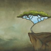 Patricia Czepiel Hayes