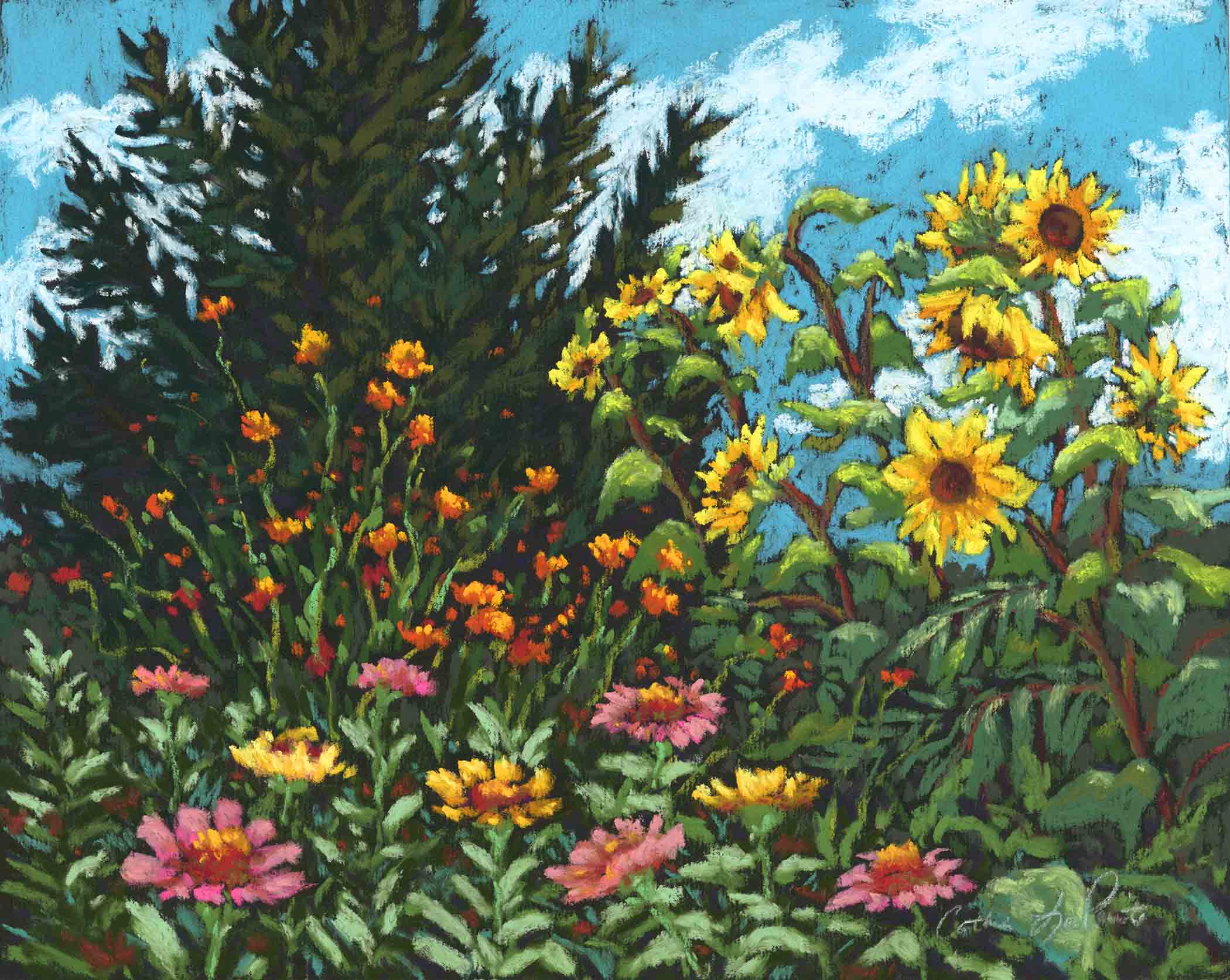 Catherine Lapointe-Vollmer